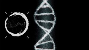 Video Thumbnail: Omnerod - Satellites (Visualizer)